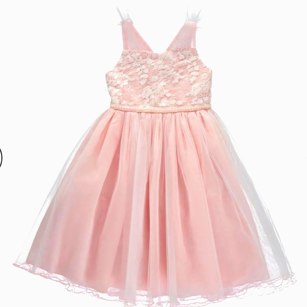 NWT Bonnie Jean Embroidered Mesh Pearl Accent Dress Size 3T Color Pink